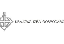 Ustawa o rachunkowości. Stanowisko Komitetu KIG ds. Zrównoważonego Biznesu