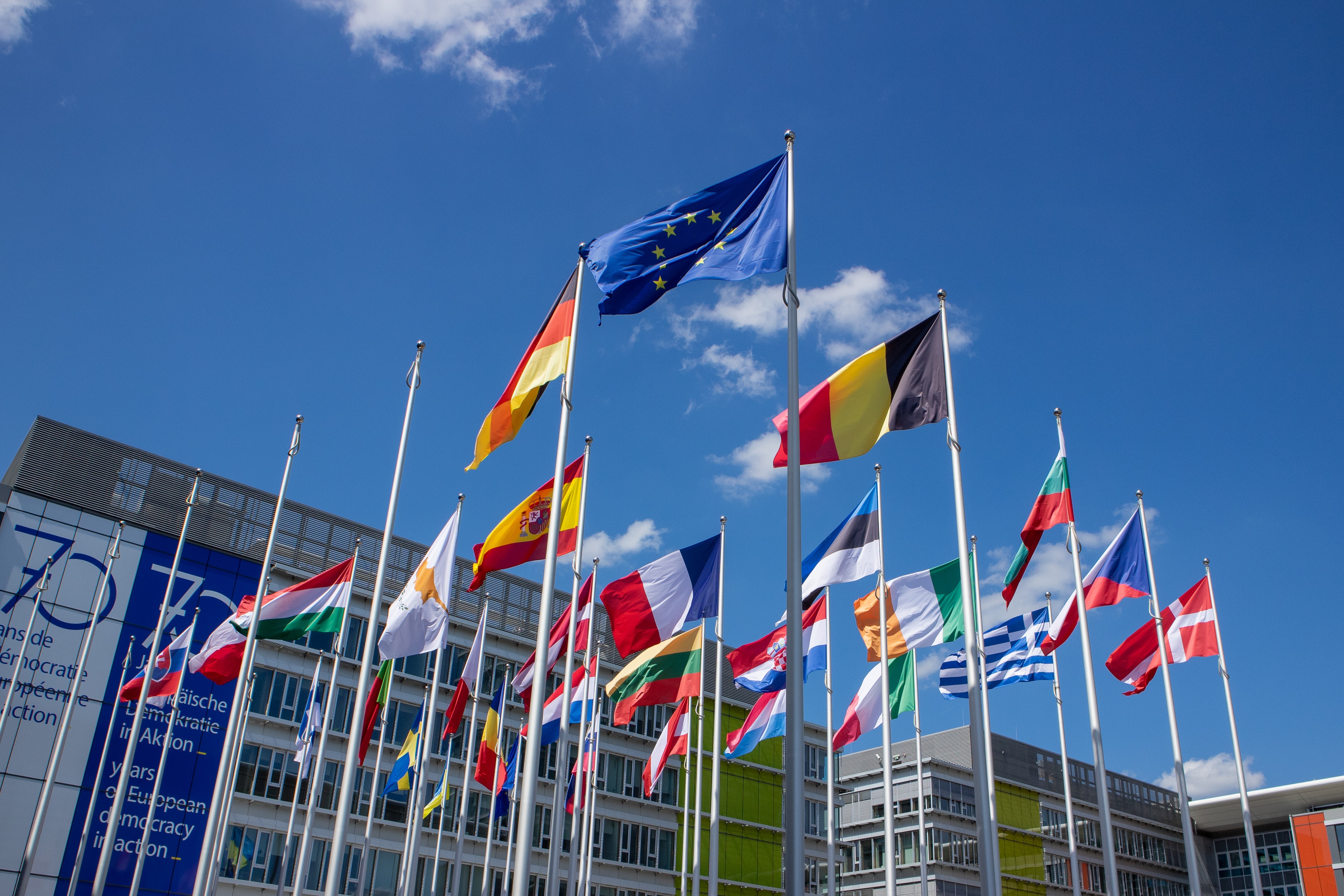 Pakiet Omnibus I. Stanowisko Polskiego Towarzystwa Gospodarczego