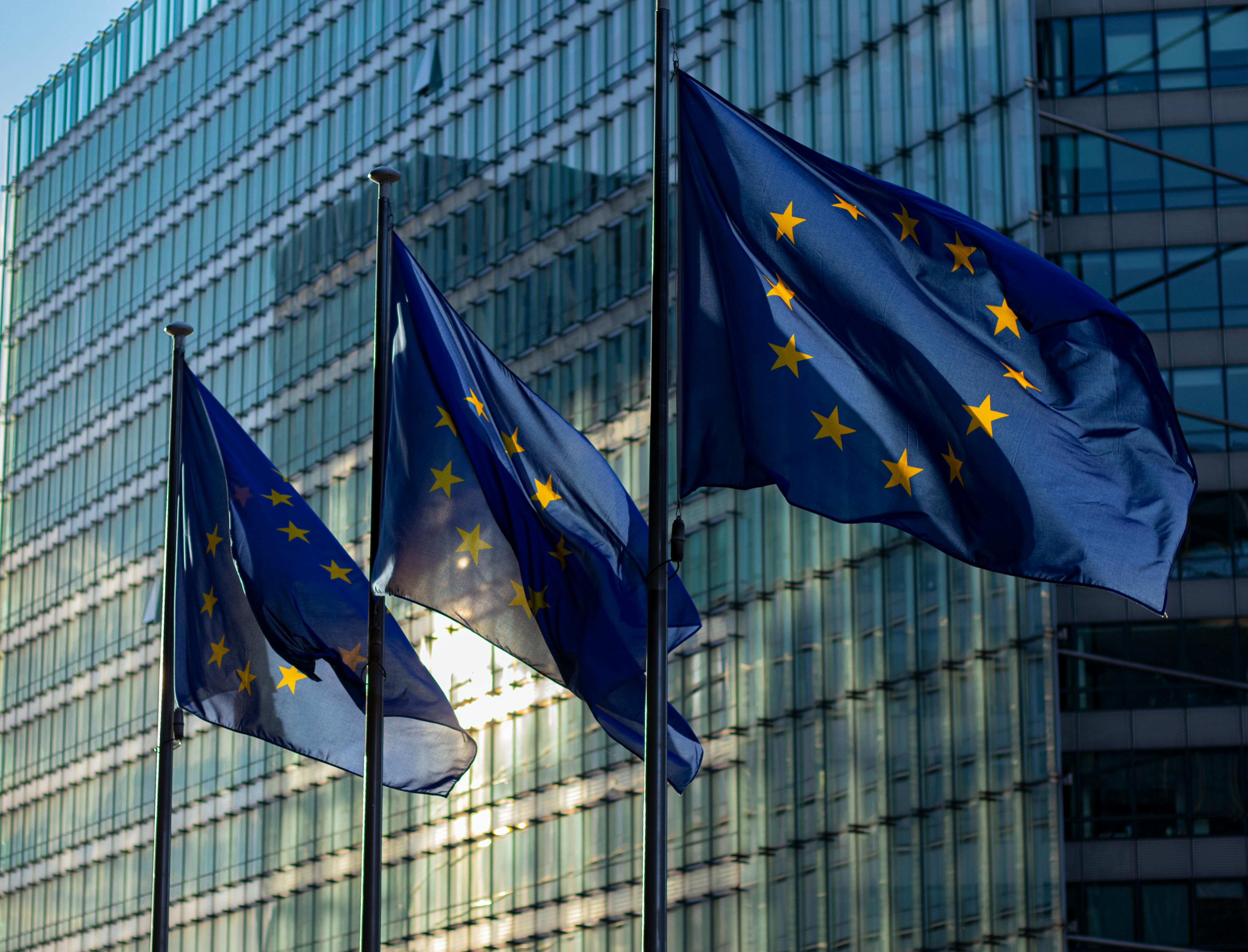 Komisja Europejska finansuje NGO do walki z firmami? Ma chodzić o ogromne dotacje
