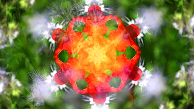 SEKRETY ŻYCIA prapremiera 26-01-22